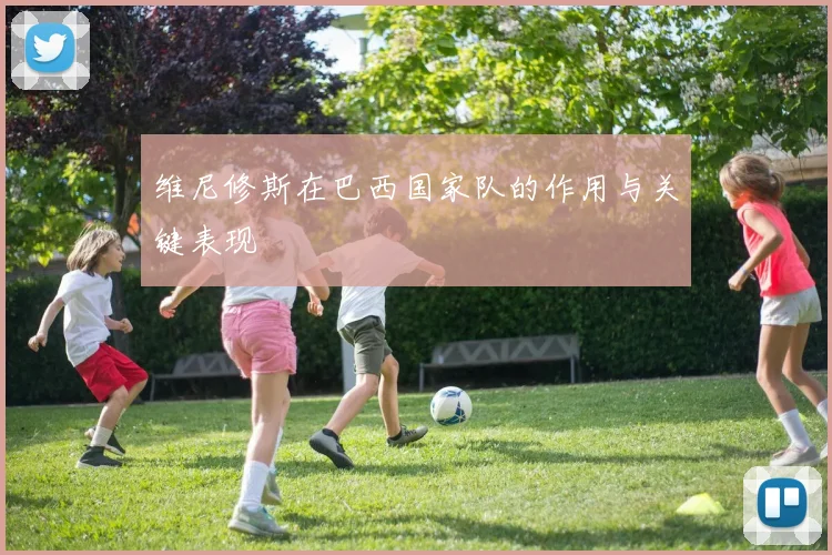 维尼修斯在巴西国家队的作用与关键表现